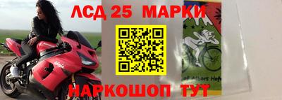 шишки Пушкино