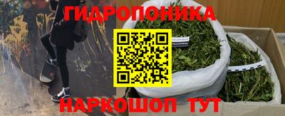 кокс Пугачёв