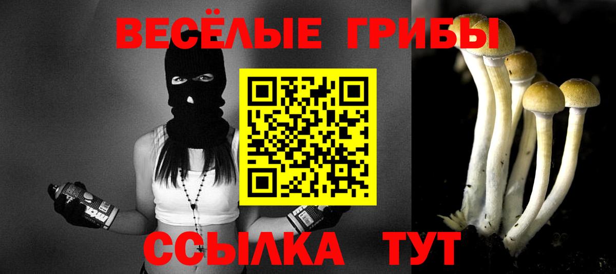 Сафоново  Псилоцибиновые грибы мицелий  купить закладку  Вход с VPN 